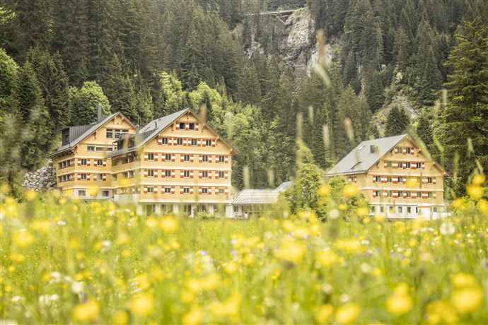 Eine malerische Landschaft mit zwei Holzgebäuden inmitten einer Wiese voller gelber Blumen. Im Hintergrund sind grüne Wälder und Berge sichtbar.