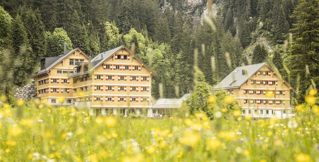 Eine malerische Landschaft mit zwei Holzgebäuden inmitten einer Wiese voller gelber Blumen. Im Hintergrund sind grüne Wälder und Berge sichtbar.
