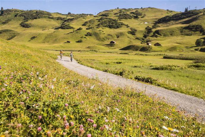 Eine malerische Landschaft mit grünen Hügeln und bunten Blumen. Zwei Radfahrer fahren auf einem schmalen Weg durch die Natur.