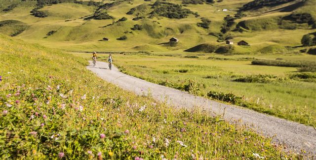 Eine malerische Landschaft mit grünen Hügeln und bunten Blumen. Zwei Radfahrer fahren auf einem schmalen Weg durch die Natur.