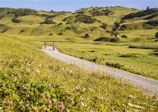 Eine malerische Landschaft mit grünen Hügeln und bunten Blumen. Zwei Radfahrer fahren auf einem schmalen Weg durch die Natur.