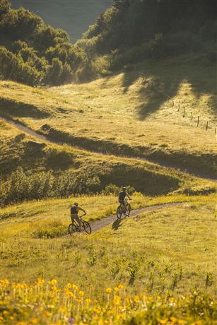 Zwei Radfahrer fahren auf einem Pfad durch eine grüne, hügelige Landschaft. Die Sonne scheint und es gibt viele gelbe Blumen im Vordergrund.