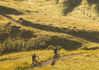 Zwei Radfahrer fahren auf einem Pfad durch eine grüne, hügelige Landschaft. Die Sonne scheint und es gibt viele gelbe Blumen im Vordergrund.