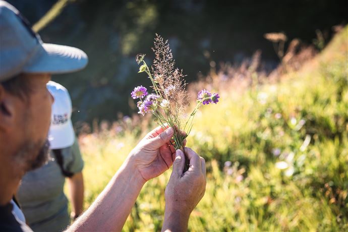 Kräuterwanderung