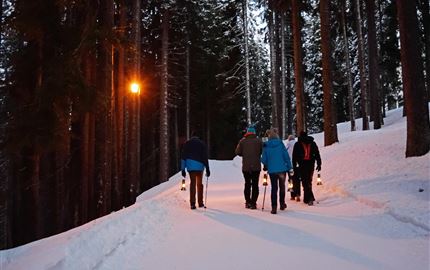 Laternenwanderung mit Toni