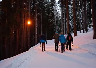 Laternenwanderung mit Toni