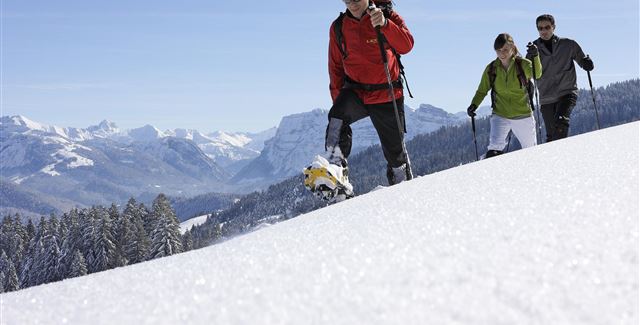 Eine Gruppe von Wanderern geht durch den Schnee in montaner Umgebung. Die Sonne scheint und die Berge sind im Hintergrund sichtbar.