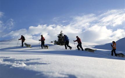 Gruppen von Wanderern gehen durch den Schnee mit Hunden. Der Himmel ist blau und es gibt einige Wolken.
