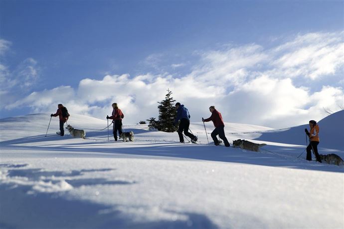 Schneeschuhwandern