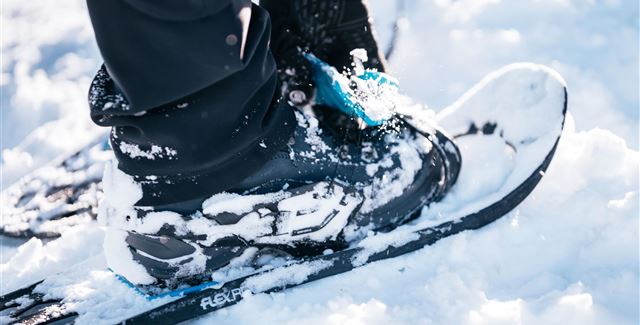 Schneeschuhwandern im Bregenzerwald