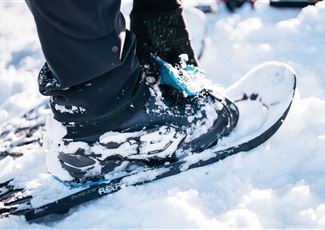 Schneeschuhwandern im Bregenzerwald