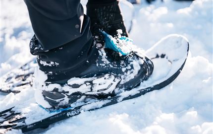 Schneeschuhwandern im Bregenzerwald