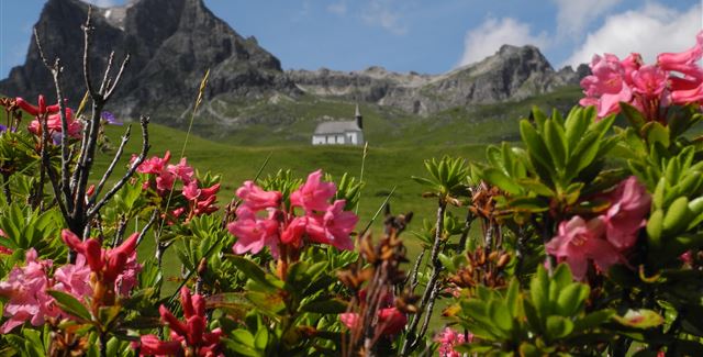 Ein malerisches Bergpanorama mit bunten Blumen im Vordergrund. Im Hintergrund ist ein kleines Haus vor majestätischen Felsen zu sehen.