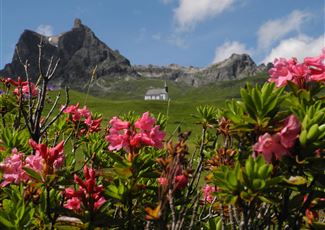 Ein malerisches Bergpanorama mit bunten Blumen im Vordergrund. Im Hintergrund ist ein kleines Haus vor majestätischen Felsen zu sehen.