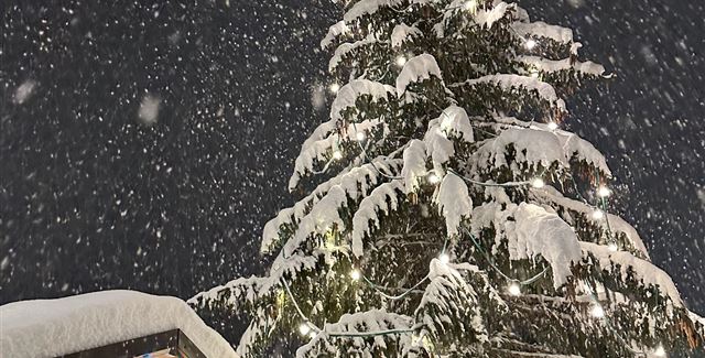 A majestic Christmas tree, covered in snow, stands in the view. Gentle snowflakes fall from the sky, adding a festive atmosphere to the scene.