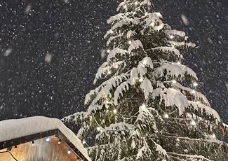 Ein majestätischer Weihnachtsbaum, bedeckt mit Schnee, steht im Blickfeld. Sanfte Schneeflocken fallen vom Himmel und verleihen der Szene eine festliche Atmosphäre.