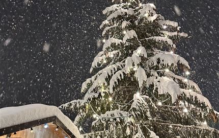 A majestic Christmas tree, covered in snow, stands in the view. Gentle snowflakes fall from the sky, adding a festive atmosphere to the scene.