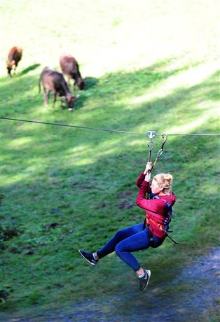 Flying Fox Park Safari Schröcken 1