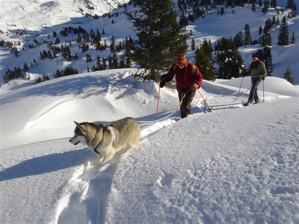 Schneeschuhtour mit Huskys