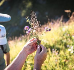 Kräuterwanderung