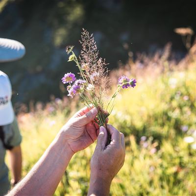 Kräuterwanderung