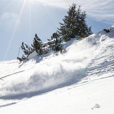 A skier is gliding through fresh snow in the mountains. The sun shines in the blue sky, surrounded by fir trees.