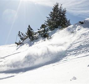 Ein Schneesportler fährt durch frischen Schnee auf einem Berg. Die Sonne scheint hell und die Landschaft ist schön und winterlich.