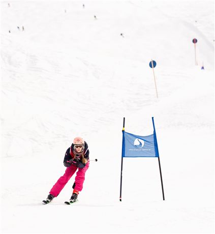 Ein Skifahrer in pinker Ausrüstung fährt durch einen Torstangenparcours im Schnee. Der Hintergrund zeigt eine verschneite Landschaft mit weiteren Skifahrern.