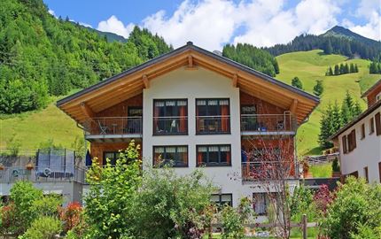 Alpina im Sommer