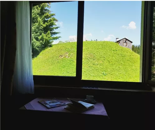 Ein Ausblick aus einem Fenster auf eine grüne Wiese und einen nahegelegenen Holzgebäude. Der Raum ist gemütlich mit einem Tisch, auf dem Bücher liegen.