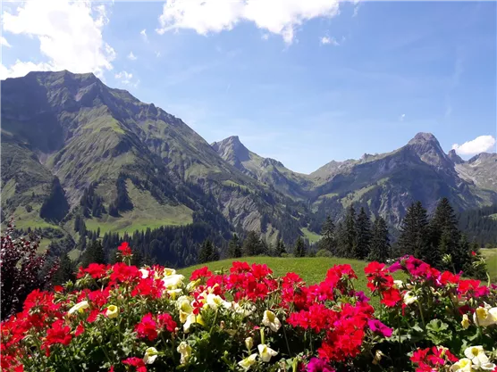 Ausblick Appartements