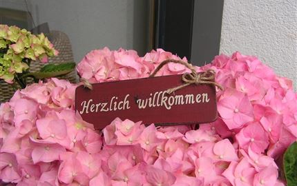 Ein Schild mit der Aufschrift „Herzlich willkommen“ liegt auf einem Bett aus rosa Hortensienblüten. Die Farben sind lebhaft und freundlich.