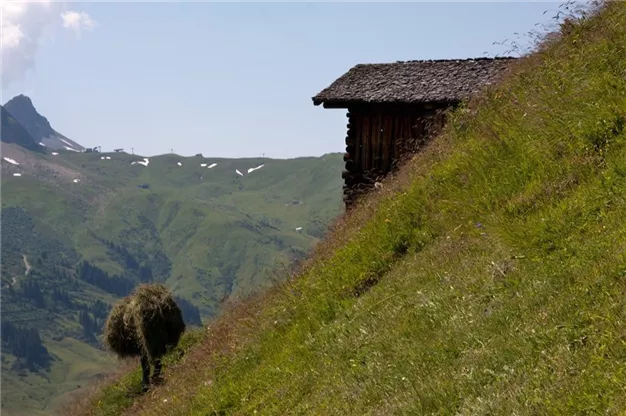 Heuernte im steilen Gelände