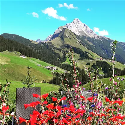 Eine malerische Landschaft mit bunten Blumen im Vordergrund und majestätischen Bergen im Hintergrund. Der Himmel ist klar und blau, was die Schönheit der Natur unterstreicht.