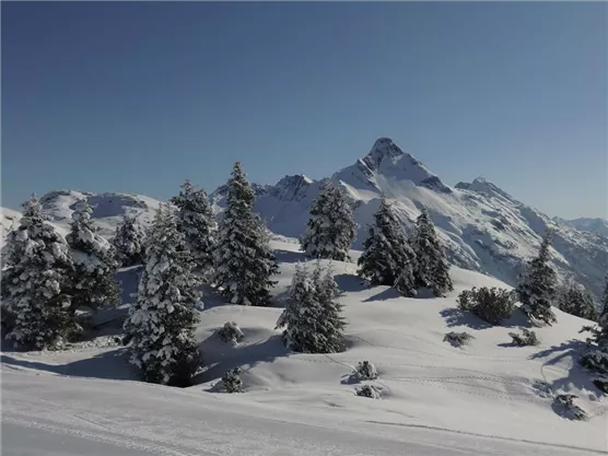 mit Blick auf den Biberkopf