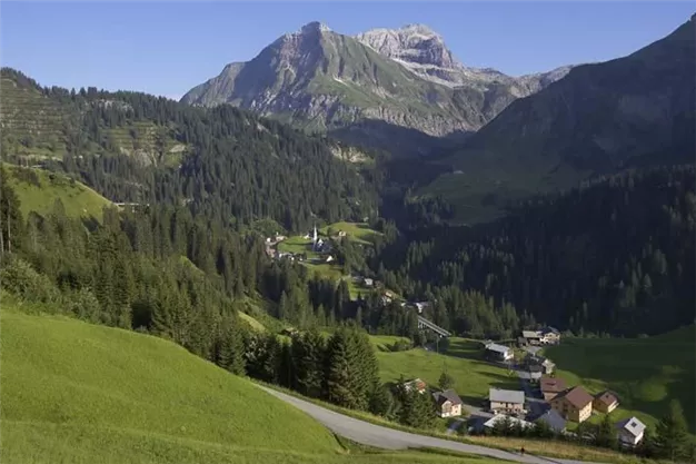 Parzelle Oberboden im Sommer