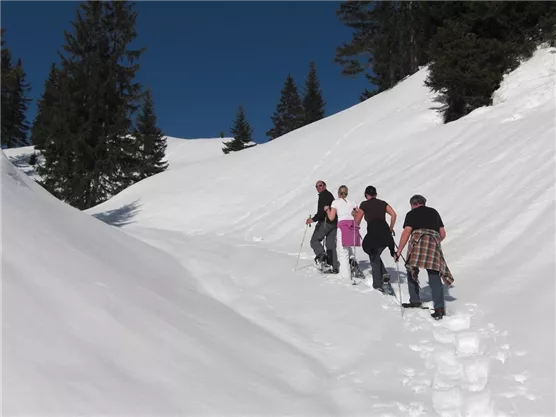 Schneeschuh Wanderung