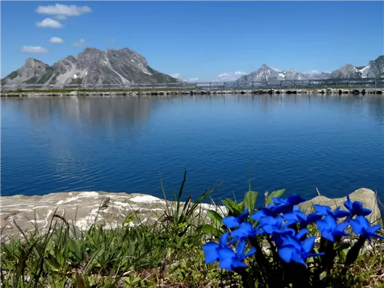 Ein klarer See umgeben von Bergen und blühenden blauen Blumen im Vordergrund. Der Himmel ist strahlend blau und die Landschaft ist ruhig und malerisch.