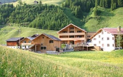 Eine schöne alpenländliche Landschaft mit mehreren Holzhäusern. Umgeben von grünen Wiesen und bewaldeten Hügeln.