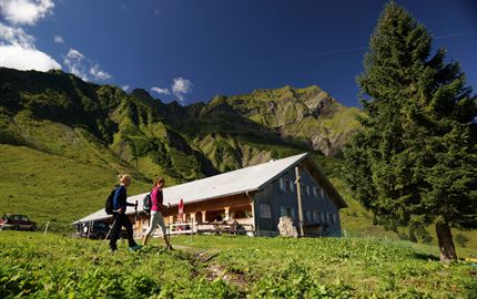 Alpe Felle