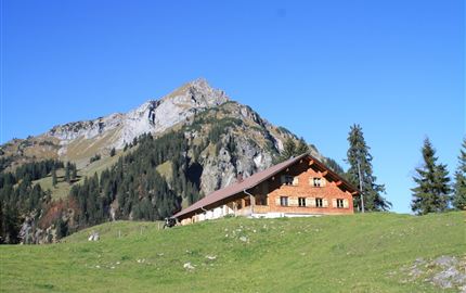 Alpe Treu Schröcken
