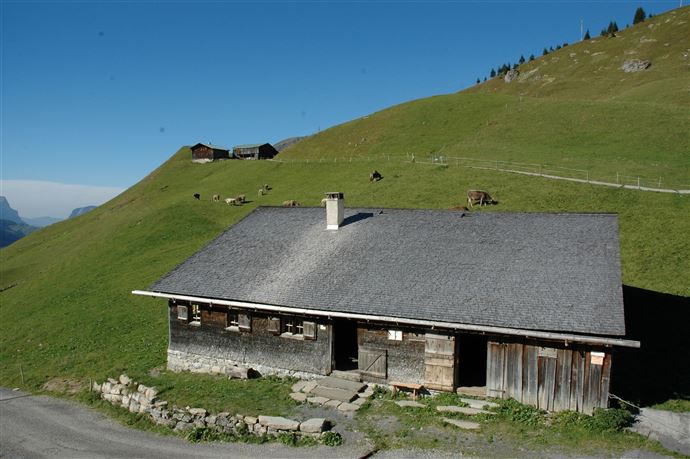 Alpmuseum ufm Tannberg