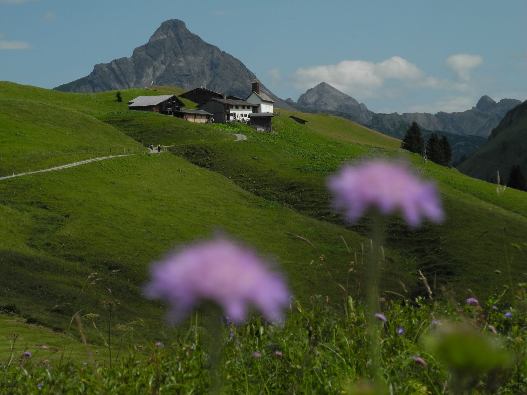Warth | Von der Bergstation Steffisalp nach Bürstegg