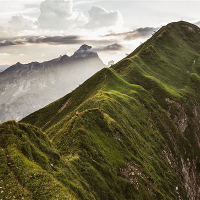 Höferspitze