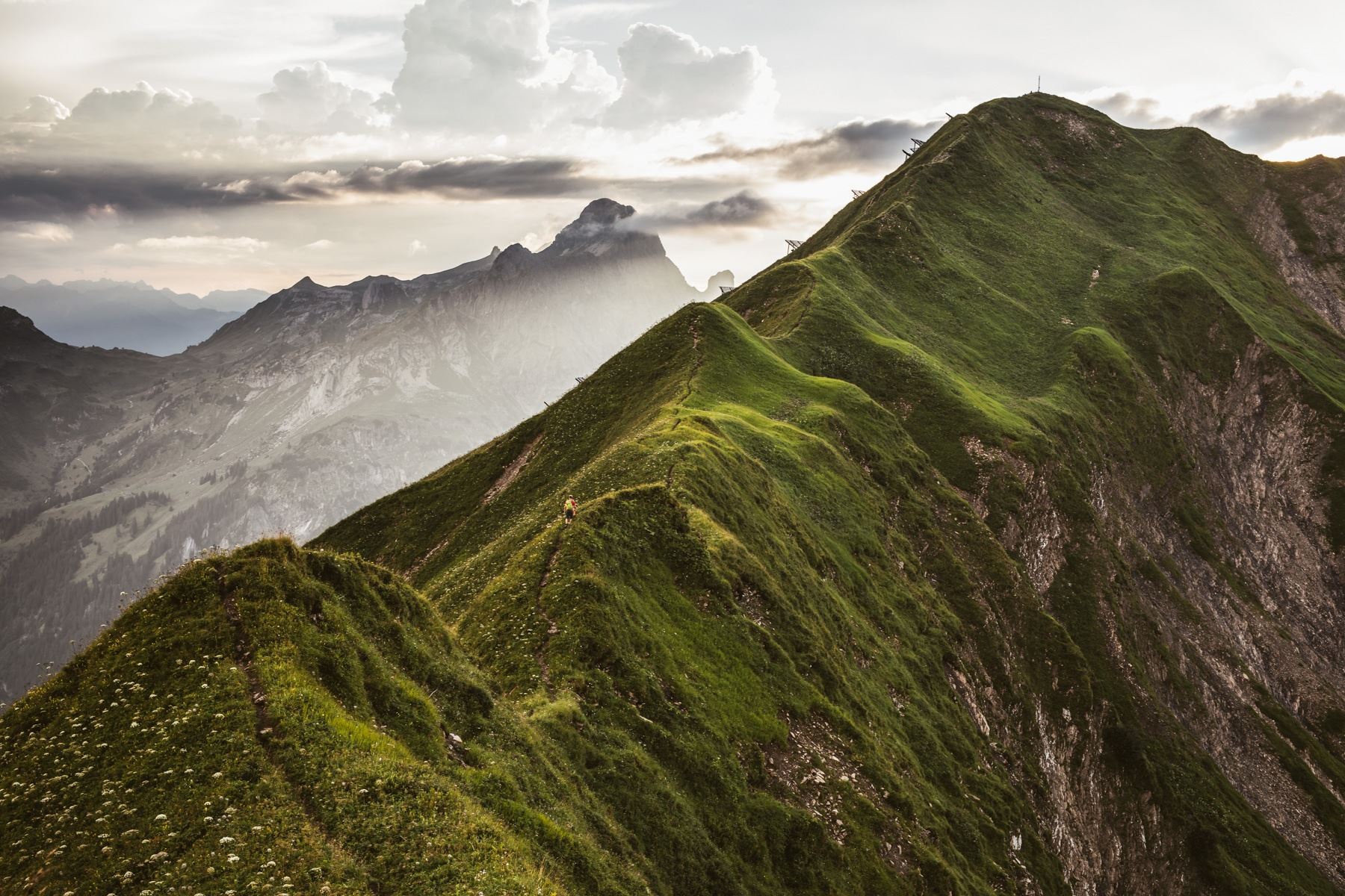 Warth | Höferspitze (2.131 m) ab Hochtannbergpass