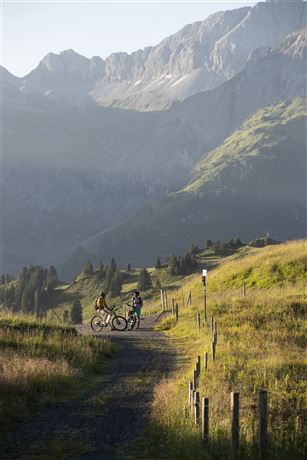 Mit dem Bike zur Unteren Gaisbühelalpe