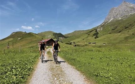 Mountainbike am Hochtannberg