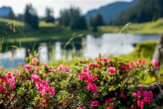 Naturjuwel Körbersee