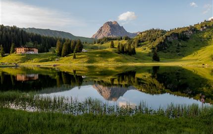 Naturlandschaft um das Naturjuwel Körbersee