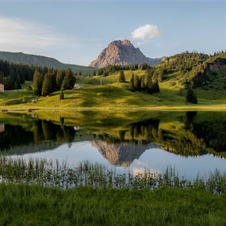 Naturlandschaft um das Naturjuwel Körbersee